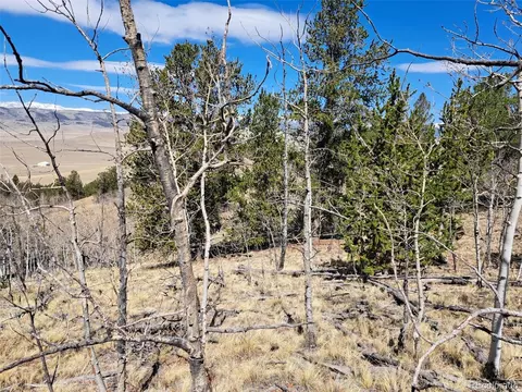 182 Starling Way, Como, CO 80432 photo 14
