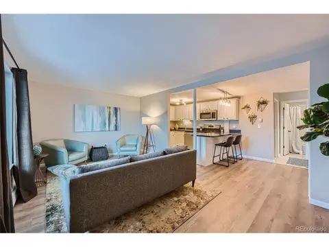 150 Evergreen Rd #105, Dillon, CO 80435 photo 9