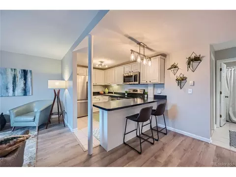 150 Evergreen Rd #105, Dillon, CO 80435 photo 3