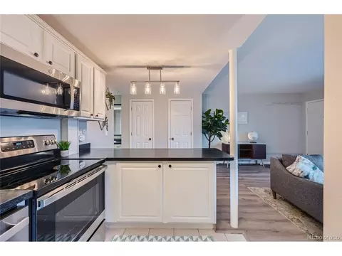 150 Evergreen Rd #105, Dillon, CO 80435 photo 5