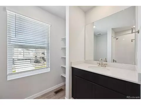 Bath - 236 Amy Ave, Fort Lupton, CO 80621 photo 3 of 4