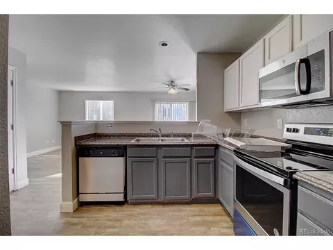 4482 Cornish Way, Denver, CO 80239 photo 6