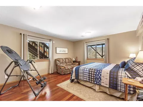 322 Gold Flake Ter, Bailey, CO 80421 photo 29