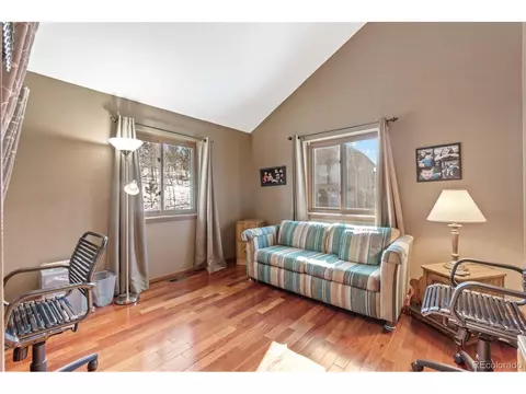 322 Gold Flake Ter, Bailey, CO 80421 photo 21