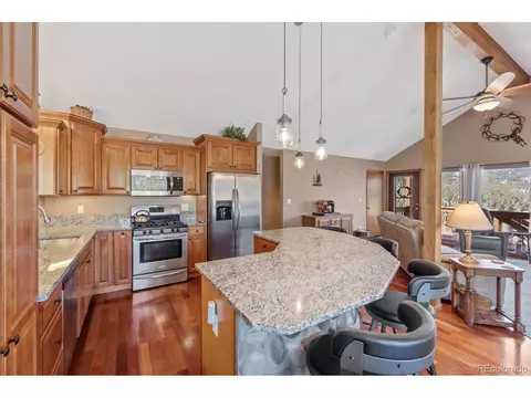 322 Gold Flake Ter, Bailey, CO 80421 photo 16