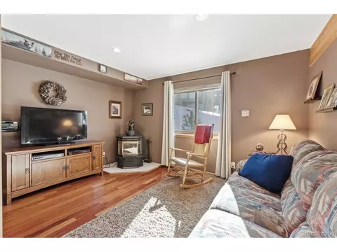 322 Gold Flake Ter, Bailey, CO 80421 photo 26