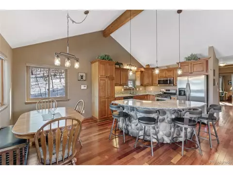 322 Gold Flake Ter, Bailey, CO 80421 photo 14