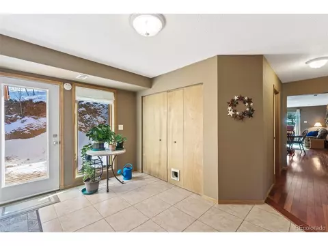 322 Gold Flake Ter, Bailey, CO 80421 photo 30