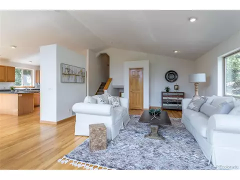 1052 S Pine Dr, Bailey, CO 80421 photo 13