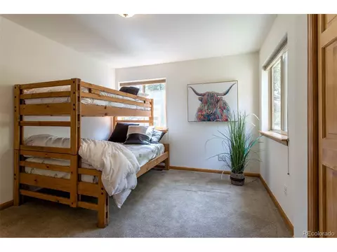 1052 S Pine Dr, Bailey, CO 80421 photo 22