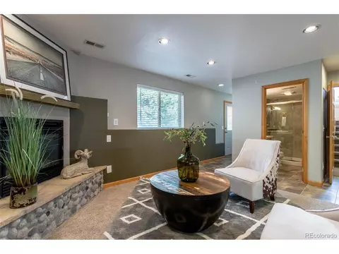 1052 S Pine Dr, Bailey, CO 80421 photo 23
