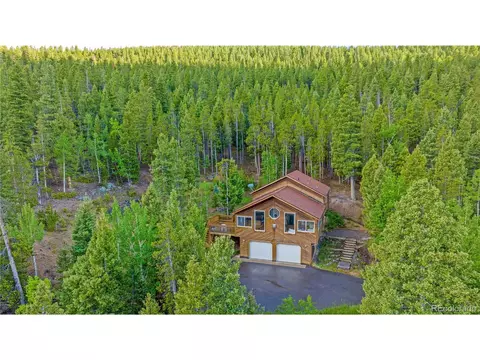 1052 S Pine Dr, Bailey, CO 80421 photo 32