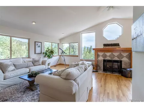 1052 S Pine Dr, Bailey, CO 80421 photo 11
