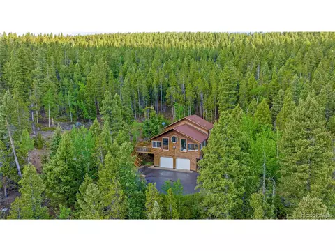 1052 S Pine Dr, Bailey, CO 80421