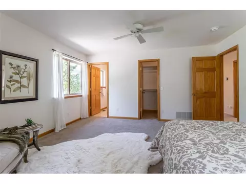 1052 S Pine Dr, Bailey, CO 80421 photo 18
