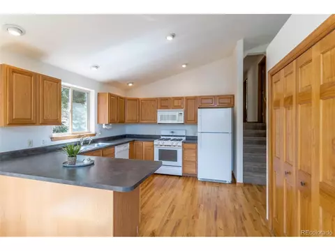 1052 S Pine Dr, Bailey, CO 80421 photo 15