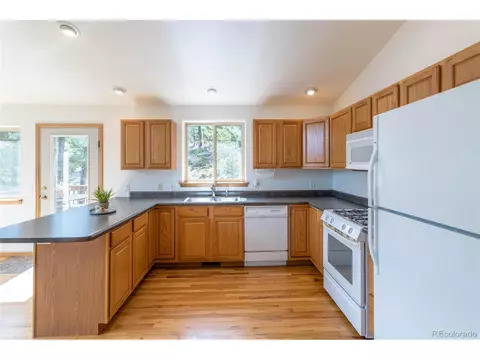 1052 S Pine Dr, Bailey, CO 80421 photo 16