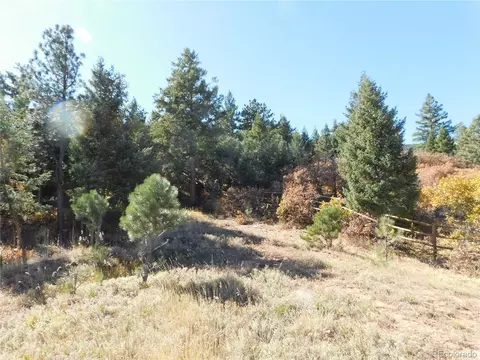 6450 Apache Dr, Larkspur, CO 80118