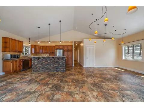 13384 S Cheyenne Ct, Pine, CO 80470 photo 6