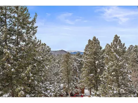 13384 S Cheyenne Ct, Pine, CO 80470 photo 4