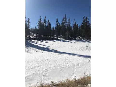 450 Teton Trl, Como, CO 80432 photo 16