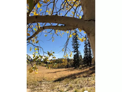 450 Teton Trl, Como, CO 80432 photo 14