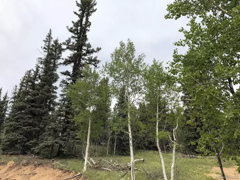 450 Teton Trl, Como, CO 80432 photo 10