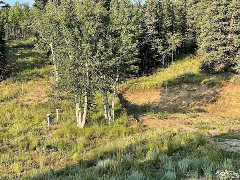 450 Teton Trl, Como, CO 80432 photo 9