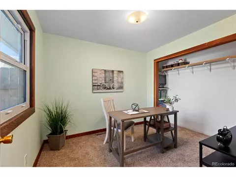 10 Daisy Ct, Windsor, CO 80550 photo 14