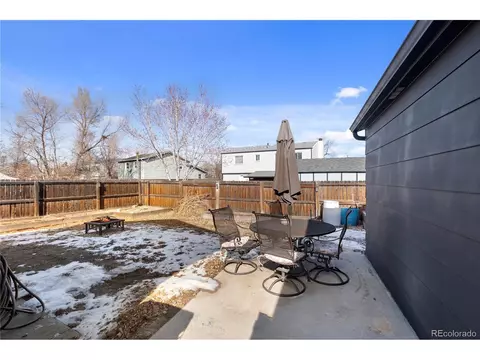 10 Daisy Ct, Windsor, CO 80550 photo 19