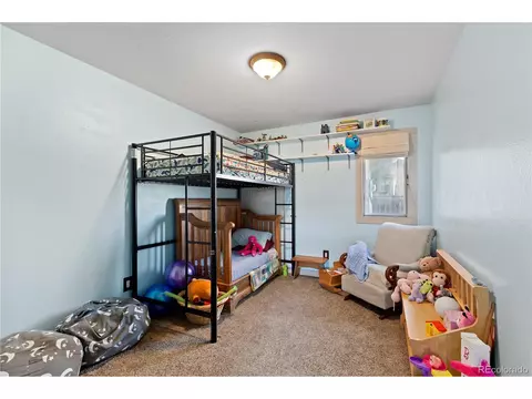 10 Daisy Ct, Windsor, CO 80550 photo 15