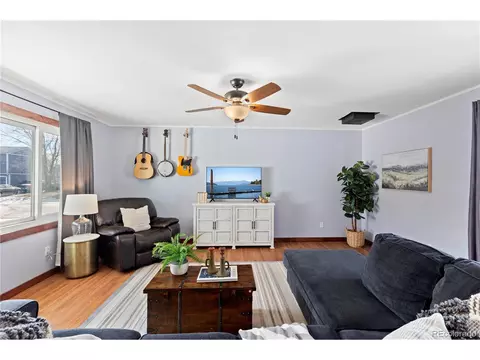 10 Daisy Ct, Windsor, CO 80550 photo 7