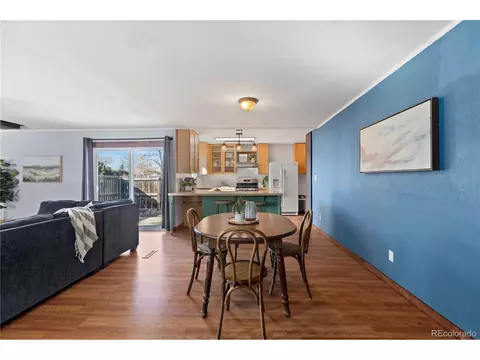 10 Daisy Ct, Windsor, CO 80550 photo 8