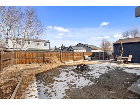 10 Daisy Ct, Windsor, CO 80550 photo 20