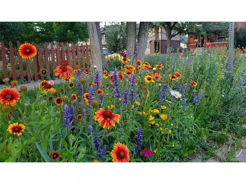 1639 E 30th Ave, Denver, CO 80205 photo 29