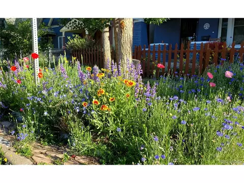 1639 E 30th Ave, Denver, CO 80205 photo 28