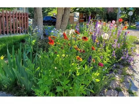 1639 E 30th Ave, Denver, CO 80205 photo 27