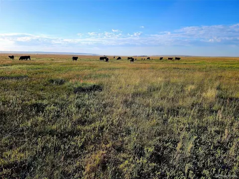 Undisclosed, Grover, CO 80729 photo 15