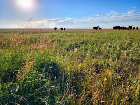 Undisclosed, Grover, CO 80729 photo 7
