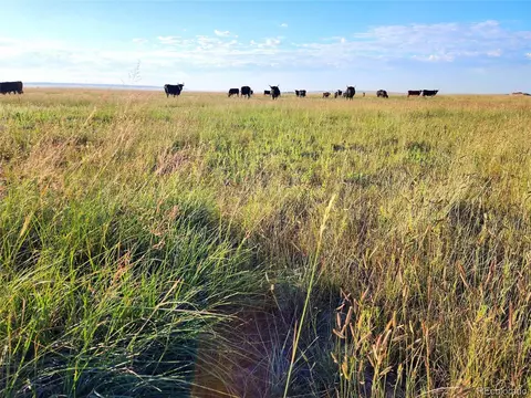 Undisclosed, Grover, CO 80729 photo 11