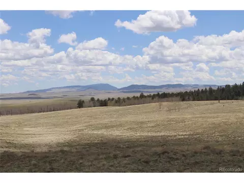 11633 Ranch Rd, Hartsel, CO 80449