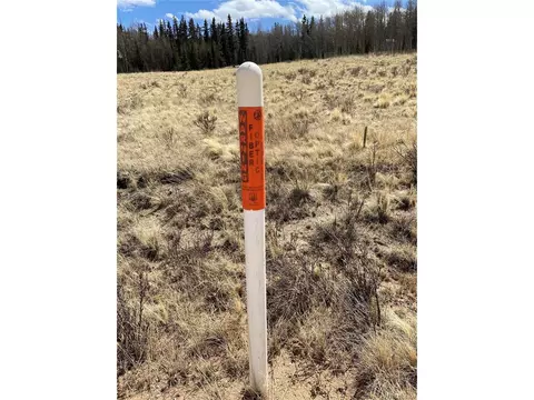 1354 Pinto Trl, Como, CO 80432 photo 10