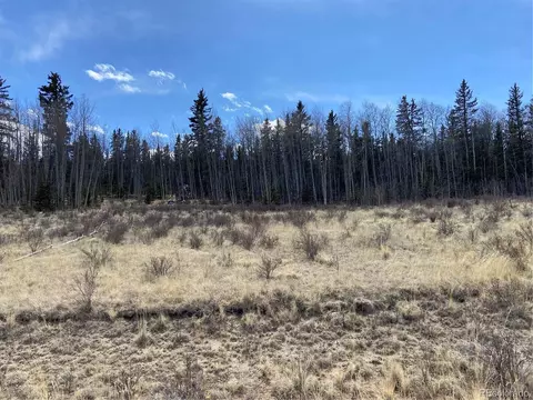 1354 Pinto Trl, Como, CO 80432 photo 1