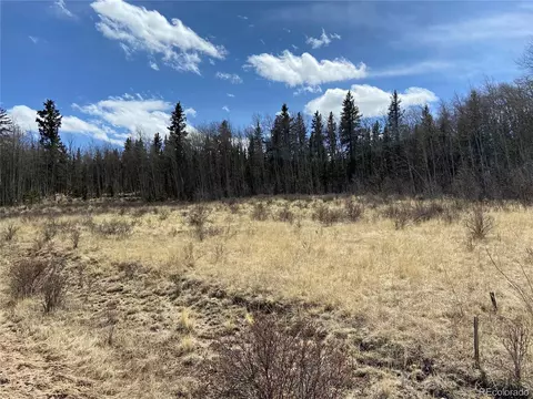 1354 Pinto Trl, Como, CO 80432 photo 5