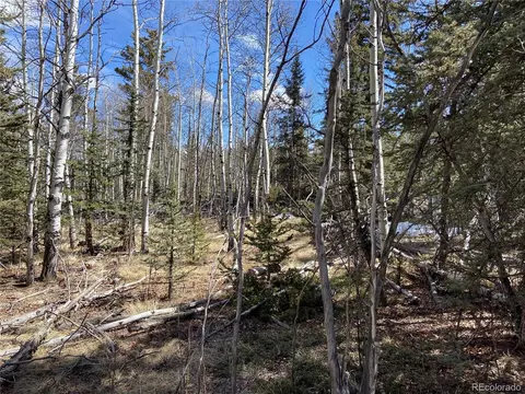 1354 Pinto Trl, Como, CO 80432 photo 7