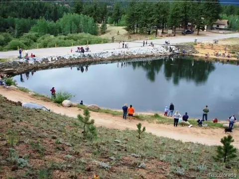 98 Wilkins Rd, Bailey, CO 80421 photo 2