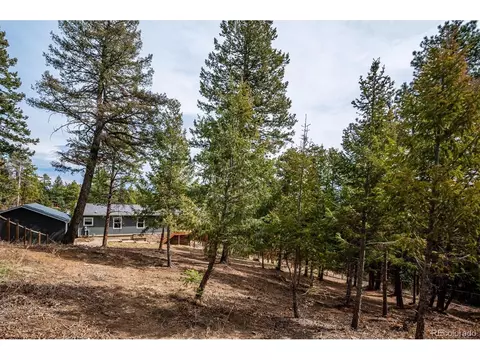 8699 S Creek Trl, Morrison, CO 80465 photo 27