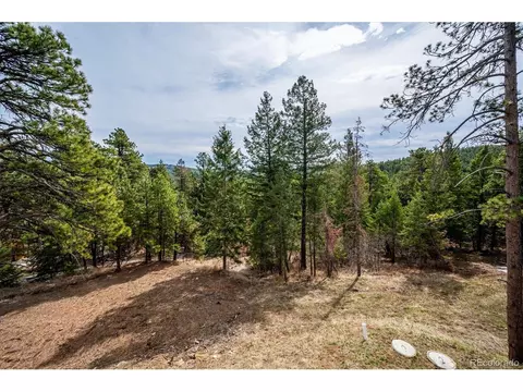 8699 S Creek Trl, Morrison, CO 80465 photo 31