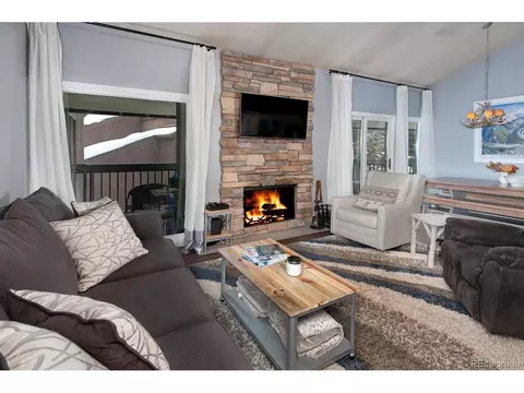 393 Wild Irishman Rd #1069, Keystone, CO 80435