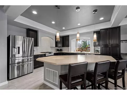 3917 Starry Night Loop, Castle Rock, CO 80109